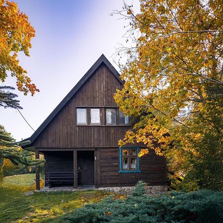 Dom Pod Klonem Na Kaszubach Villa คอชเชียซือนา ภายนอก รูปภาพ