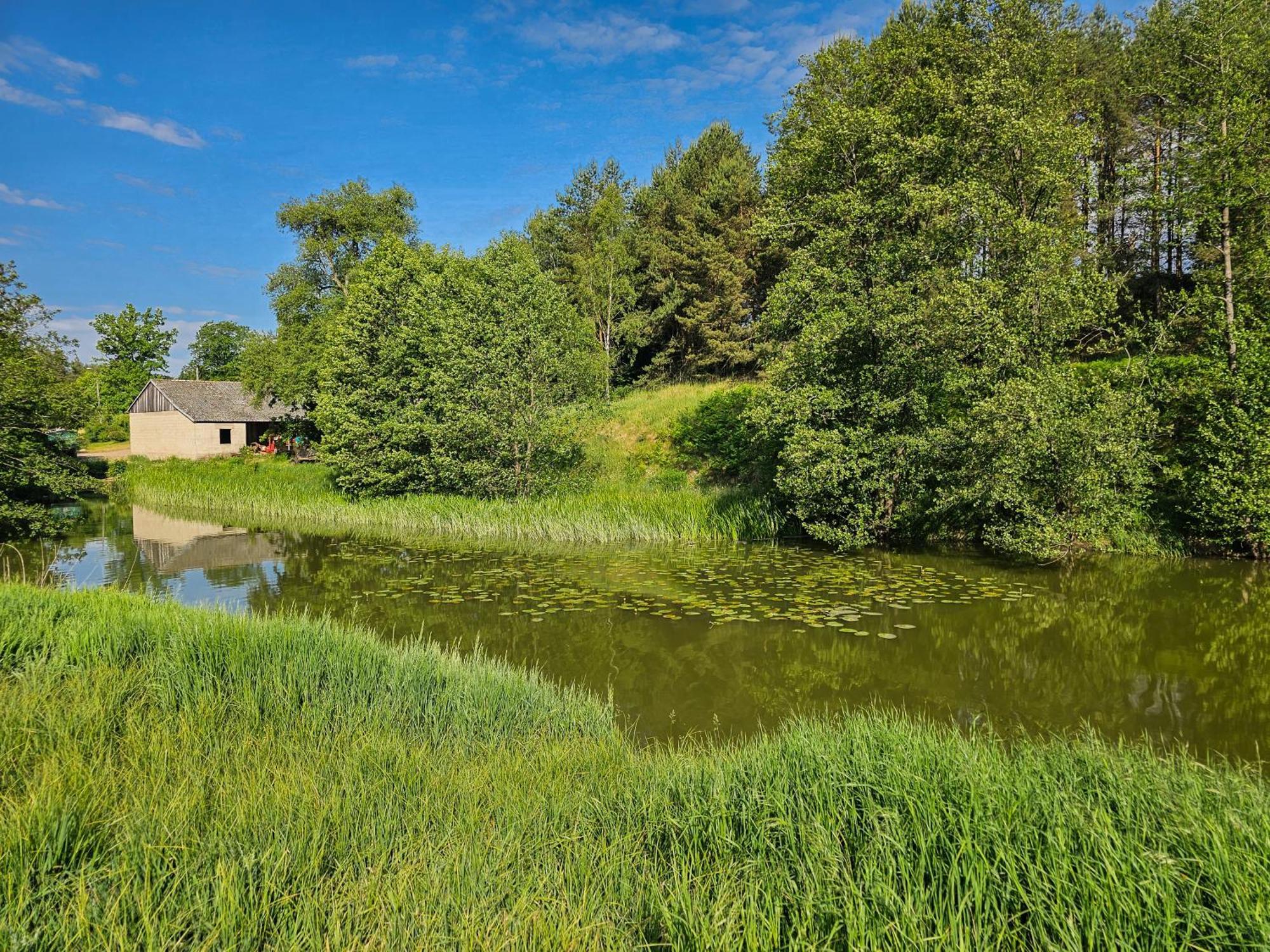 Dom Pod Klonem Na Kaszubach Villa คอชเชียซือนา ภายนอก รูปภาพ