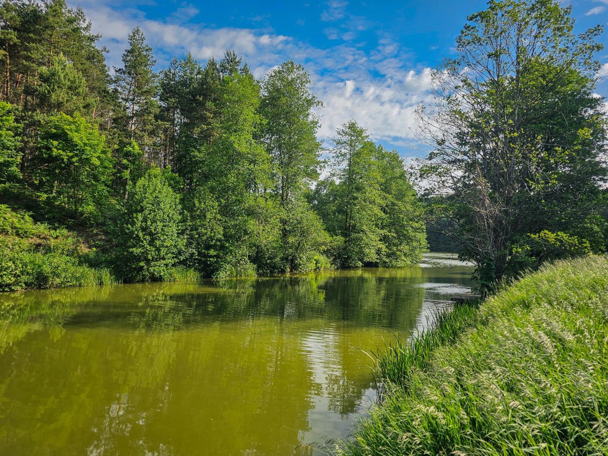 Dom Pod Klonem Na Kaszubach Villa คอชเชียซือนา ภายนอก รูปภาพ
