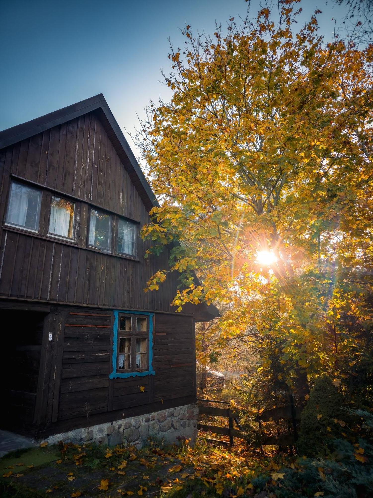 Dom Pod Klonem Na Kaszubach Villa คอชเชียซือนา ภายนอก รูปภาพ
