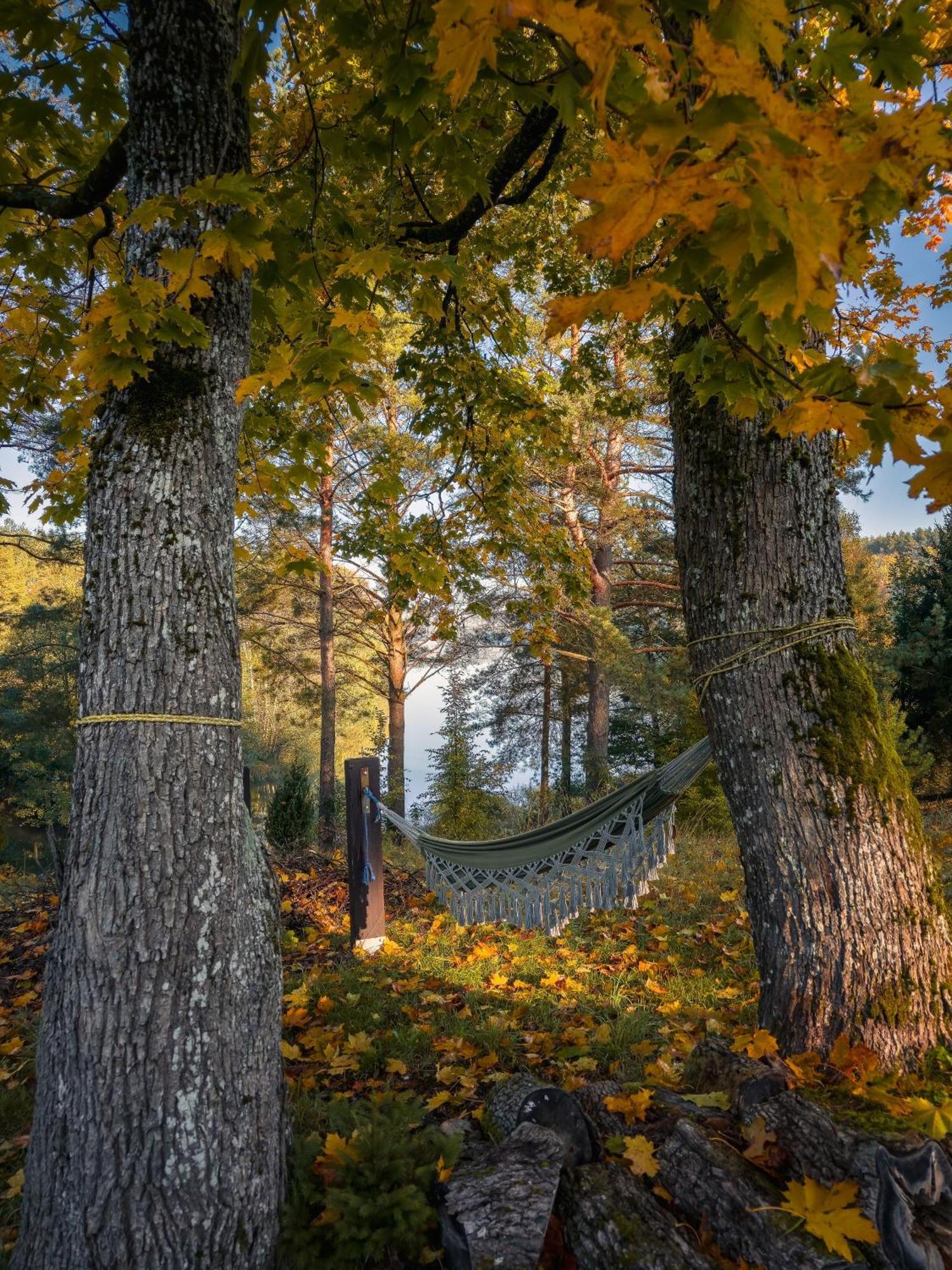 Dom Pod Klonem Na Kaszubach Villa คอชเชียซือนา ภายนอก รูปภาพ