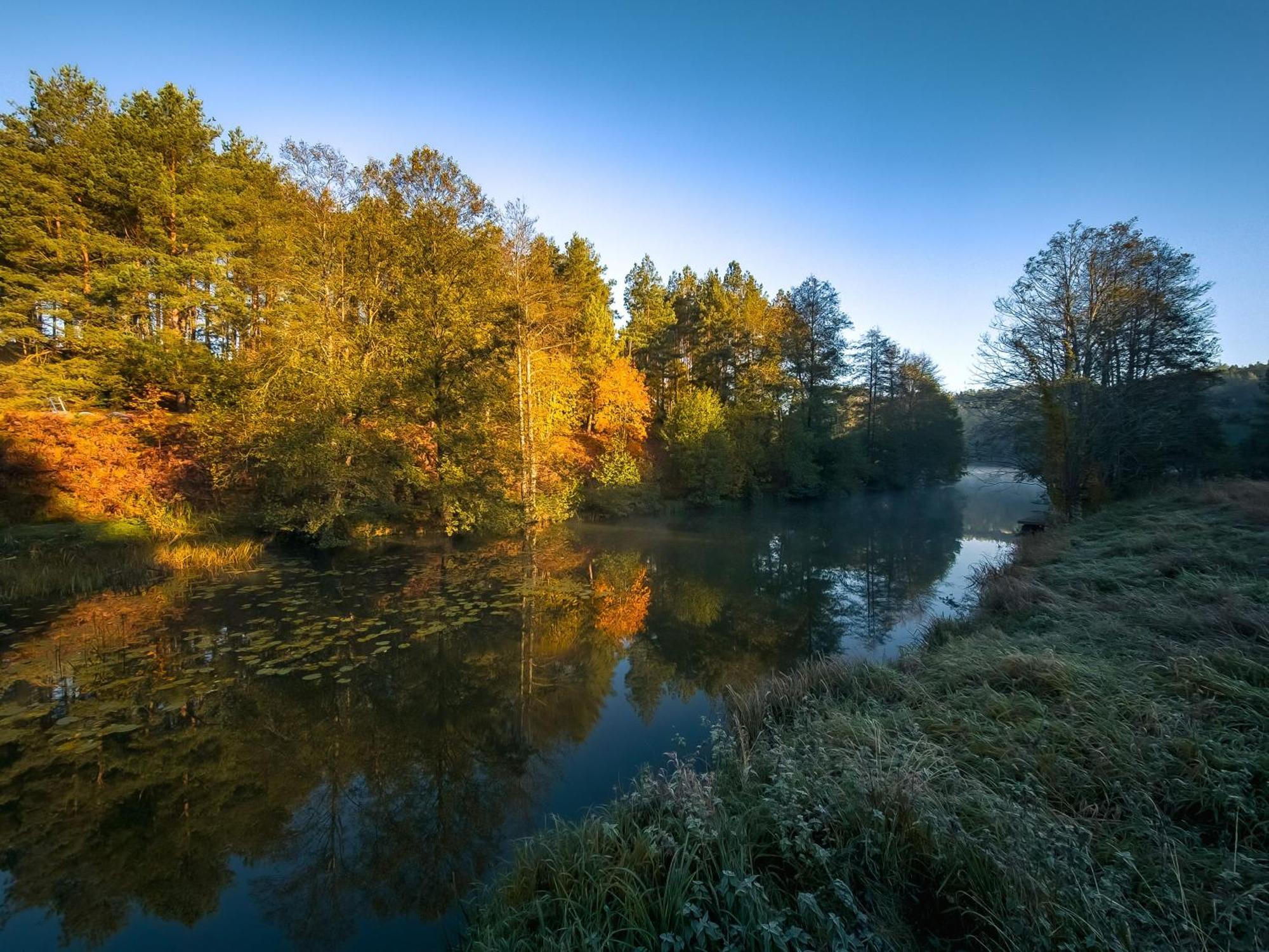 Dom Pod Klonem Na Kaszubach Villa คอชเชียซือนา ภายนอก รูปภาพ