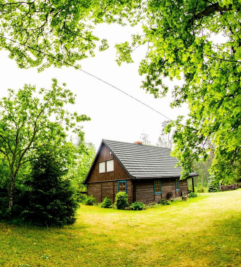 Dom Pod Klonem Na Kaszubach Villa คอชเชียซือนา ภายนอก รูปภาพ