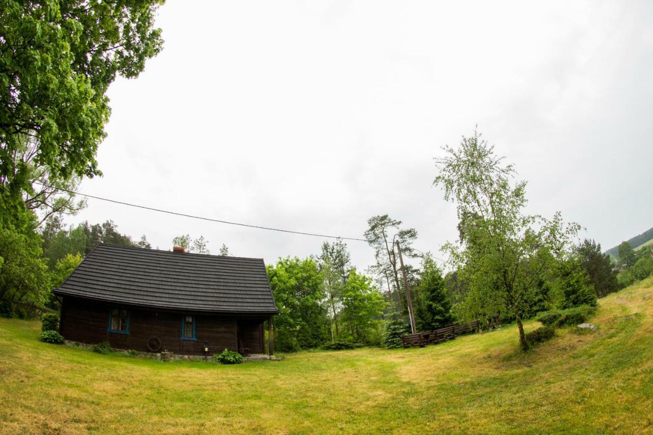 Dom Pod Klonem Na Kaszubach Villa คอชเชียซือนา ภายนอก รูปภาพ