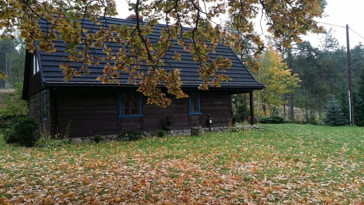 Dom Pod Klonem Na Kaszubach Villa คอชเชียซือนา ภายนอก รูปภาพ