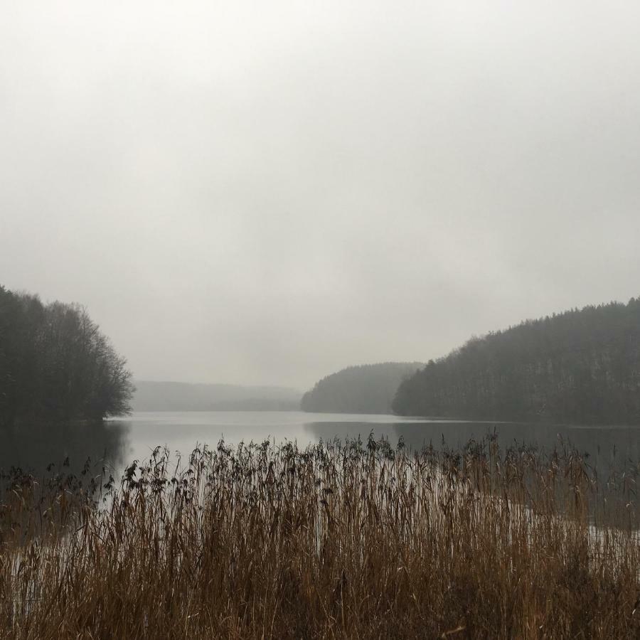 Dom Pod Klonem Na Kaszubach Villa คอชเชียซือนา ภายนอก รูปภาพ
