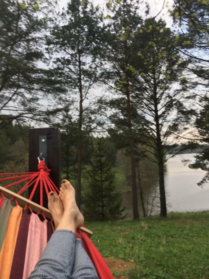 Dom Pod Klonem Na Kaszubach Villa คอชเชียซือนา ภายนอก รูปภาพ